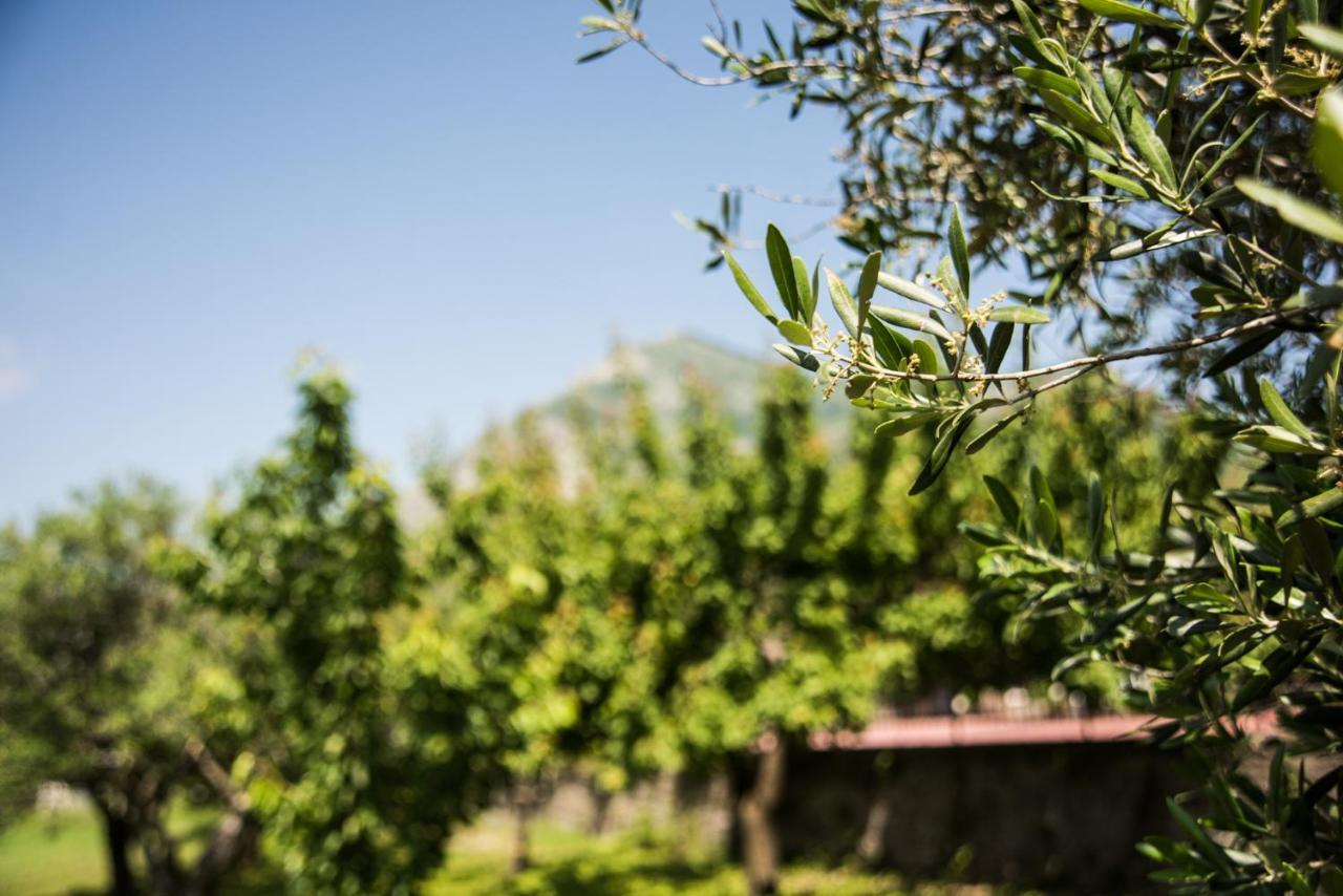 Montesarchio Casa Vacanza Dal Cavaliere מראה חיצוני תמונה