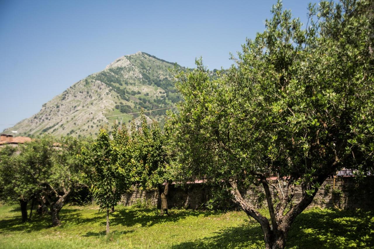 Montesarchio Casa Vacanza Dal Cavaliere מראה חיצוני תמונה